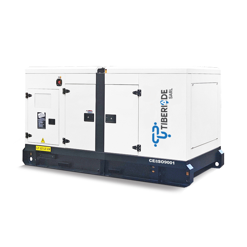 Groupe électrogène insonorisé